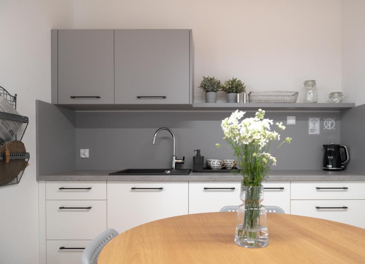 Apartamenty Mlynska 5 Bielsko-Biała Exteriör bild