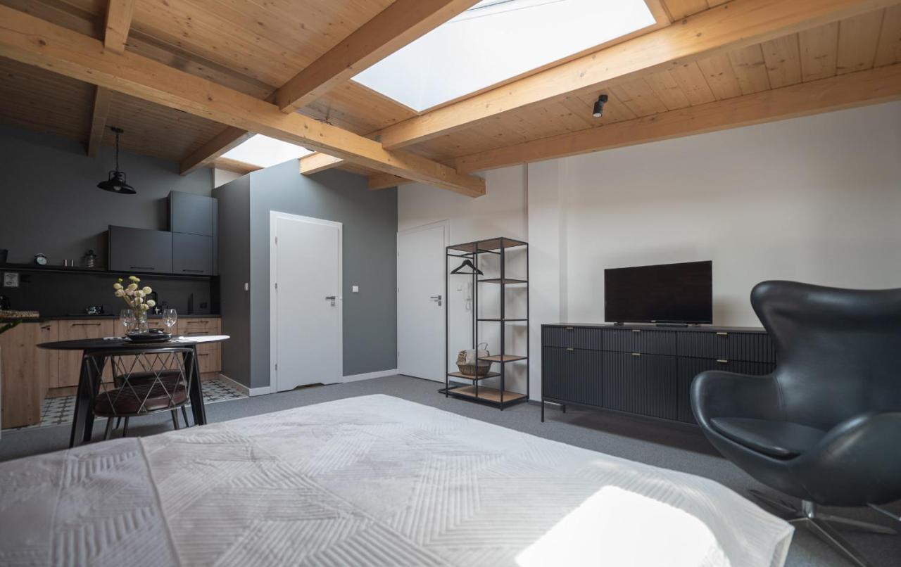 Apartamenty Mlynska 5 Bielsko-Biała Exteriör bild