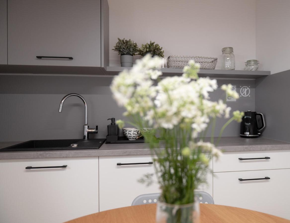 Apartamenty Mlynska 5 Bielsko-Biała Exteriör bild